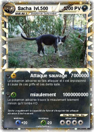 Pokemon Sacha  lvl.500            5