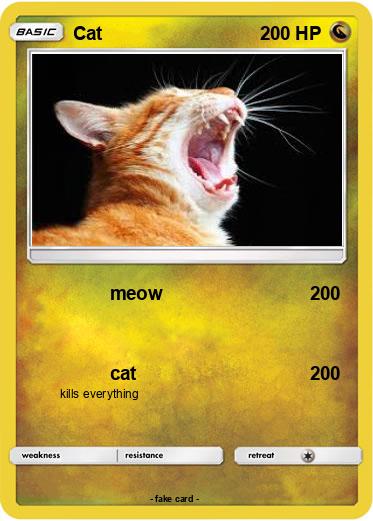 Pokemon Cat