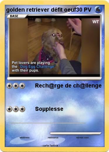 Pokemon golden retriever défit oeuf