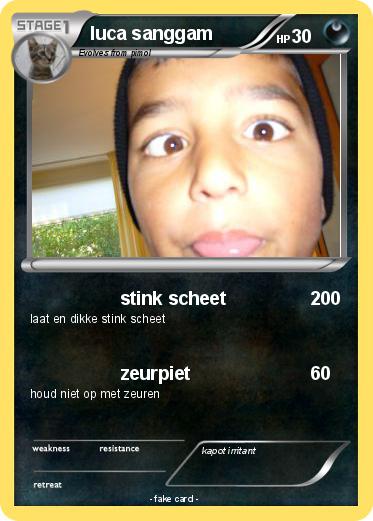 Pokemon luca sanggam