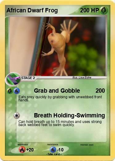 Pokemon African Dwarf Frog