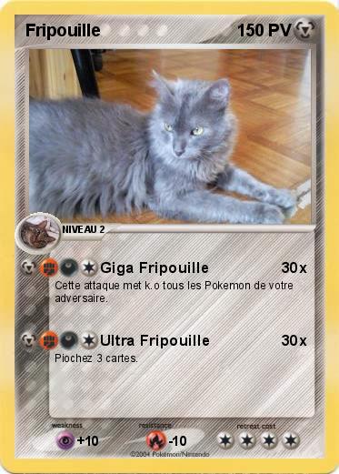 Pokemon Fripouille
