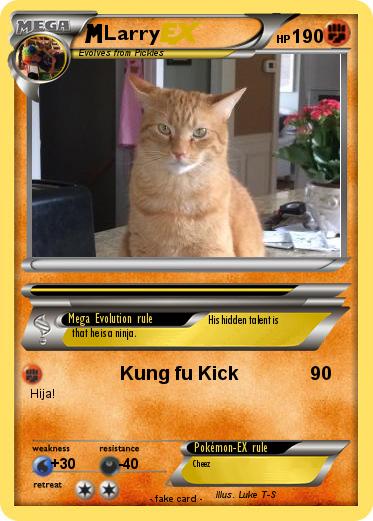 Pokemon Larry
