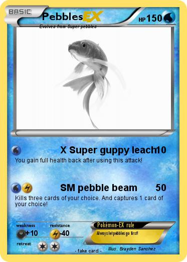 Pokemon Pebbles