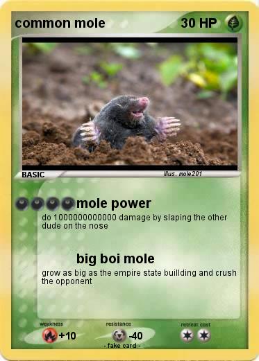 Pokemon common mole