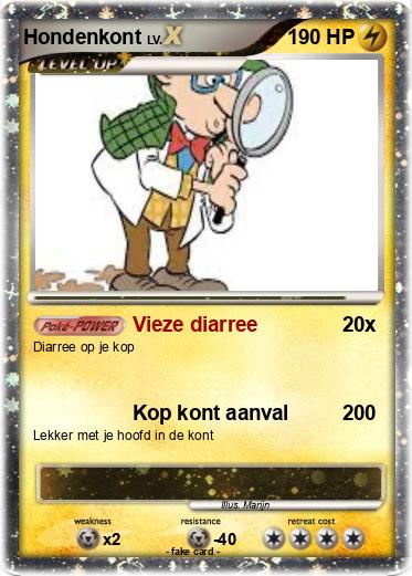 Pokemon Hondenkont