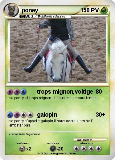 Pokemon poney