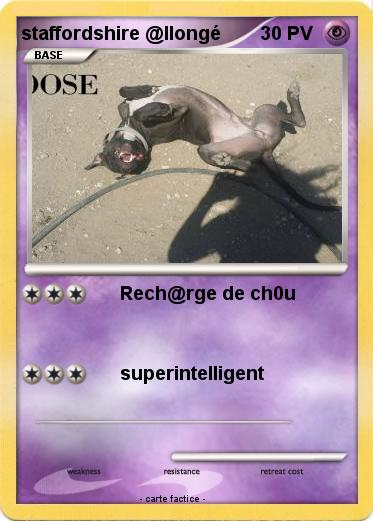 Pokemon staffordshire @llongé