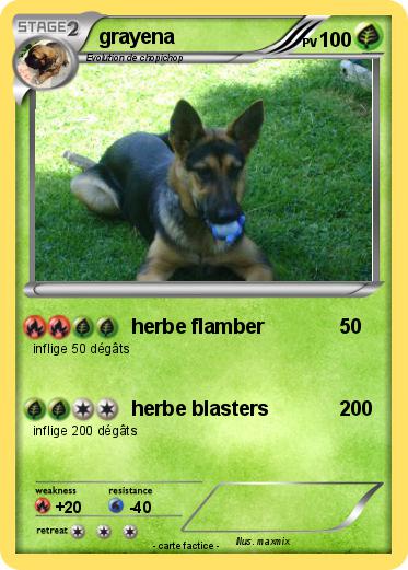 Pokemon grayena