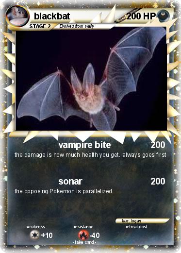 Pokemon blackbat