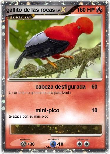 Pokemon gallito de las rocas