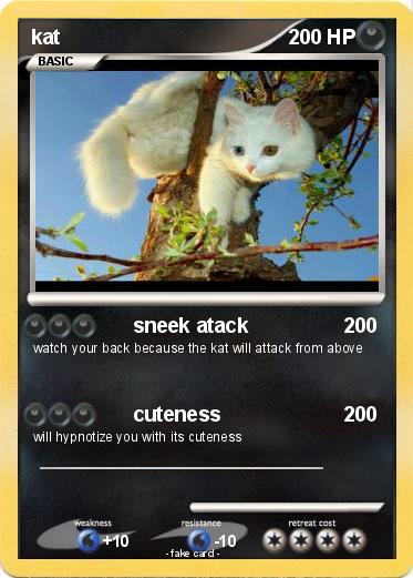 Pokemon kat