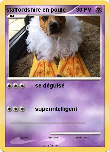Pokemon staffordshire en poule