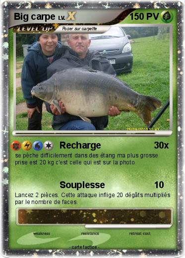 Pokemon Big carpe