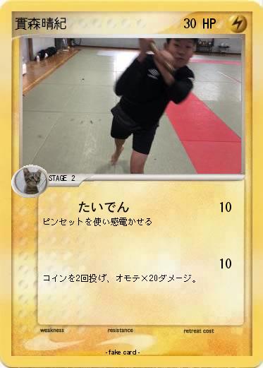 Pokemon 實森晴紀