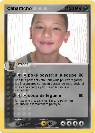 Pokemon Canarticho