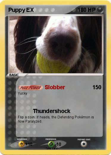 Pokemon Puppy EX