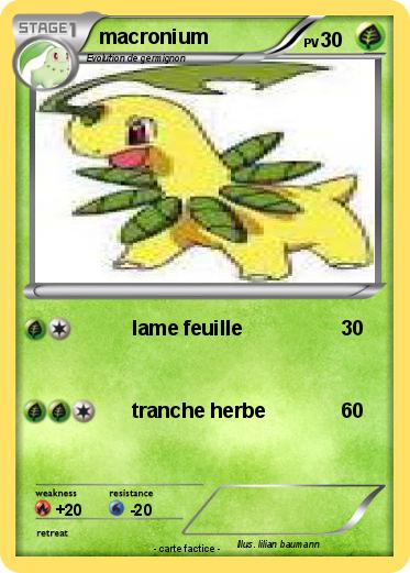 Pokemon macronium