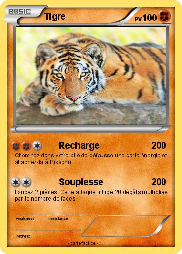 Pokemon Tigre