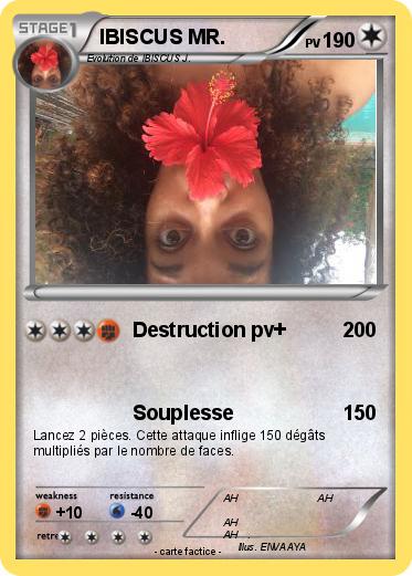 Pokemon IBISCUS MR.