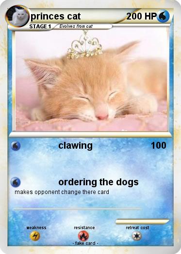 Pokemon princes cat