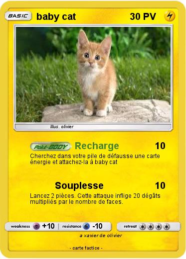 Pokemon baby cat