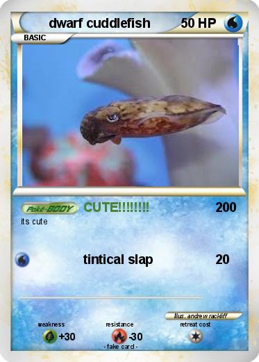 Pokemon dwarf cuddlefish