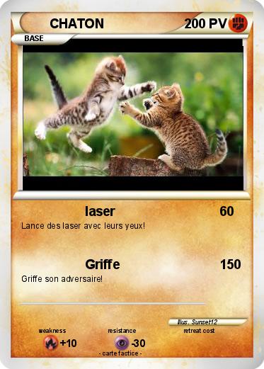 Pokemon CHATON