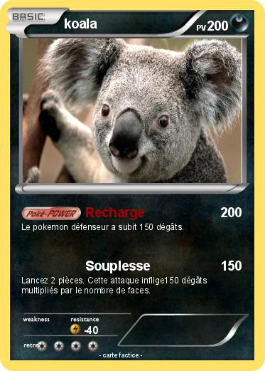 Pokemon koala