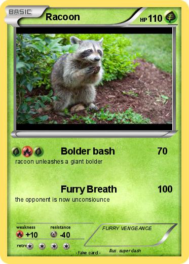 Pokemon Racoon