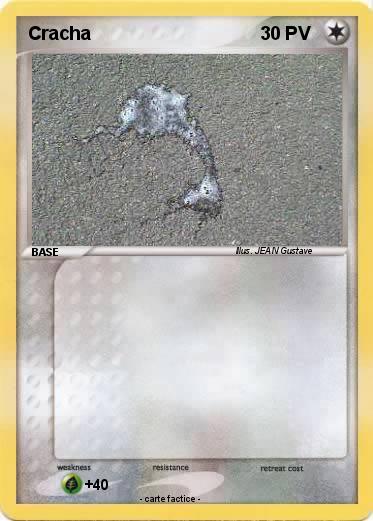 Pokemon Cracha