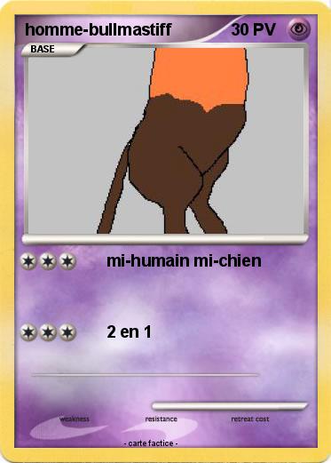Pokemon homme-bullmastiff