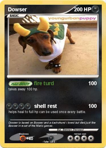 Pokemon Dowser