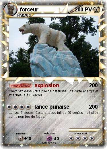 Pokemon forceur