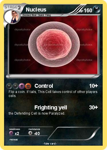 Pokemon Nucleus