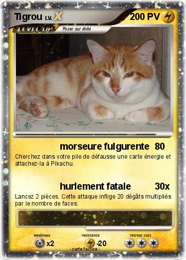 Pokemon Tigrou