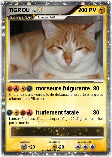 Pokemon TIGROU