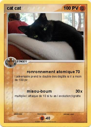 Pokemon cat cat