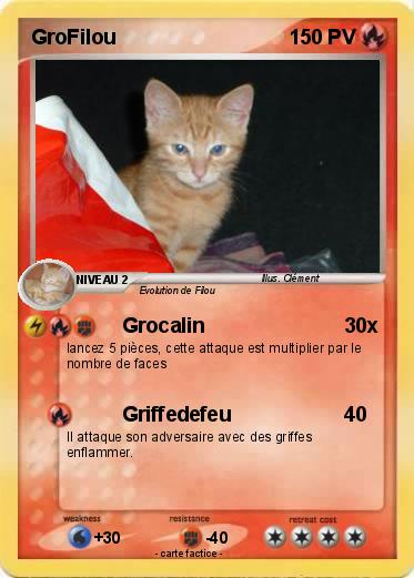 Pokemon GroFilou