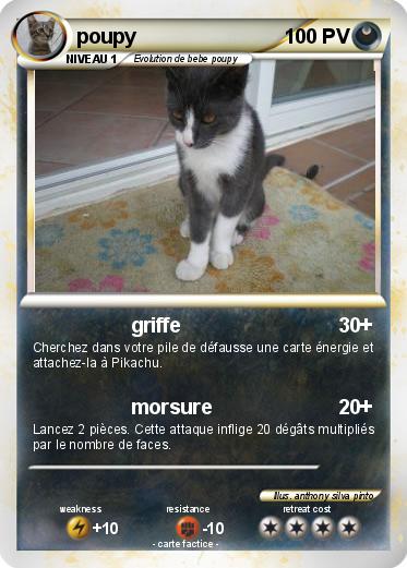 Pokemon poupy