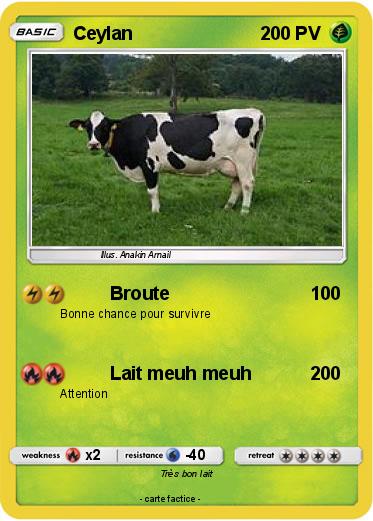Pokemon Ceylan