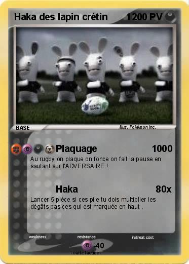 Pokemon Haka des lapin crétin       1