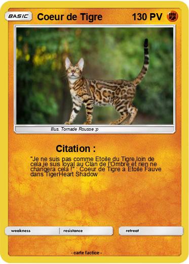 Pokemon Coeur de Tigre