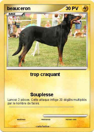 Pokemon beauceron