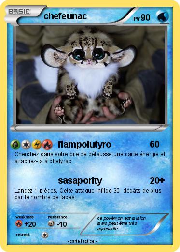Pokemon chefeunac