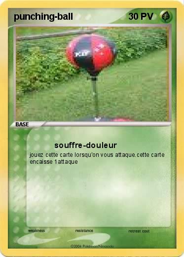 Pokemon punching-ball