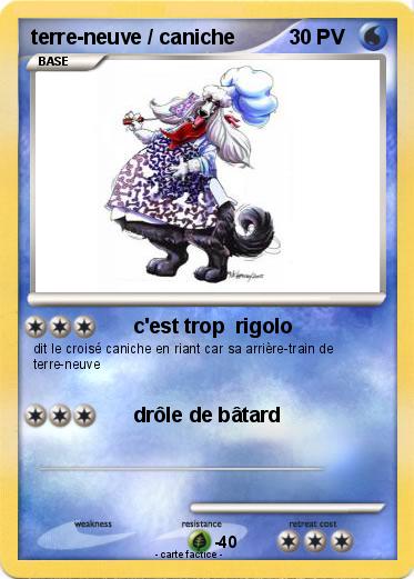 Pokemon terre-neuve / caniche