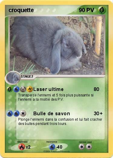 Pokemon croquette