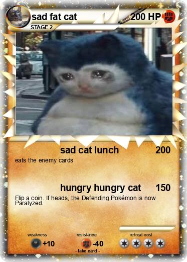 Pokemon sad fat cat