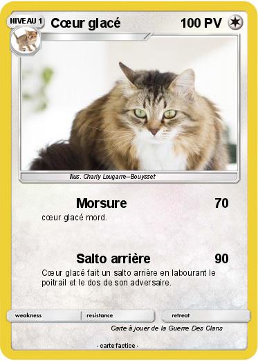 Pokemon Cœur glacé